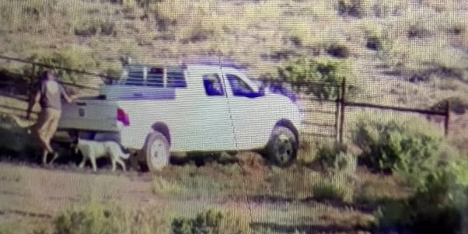 DNR Law Enforcement Seeking Tips On Uintah County Poaching Case | Basin Now