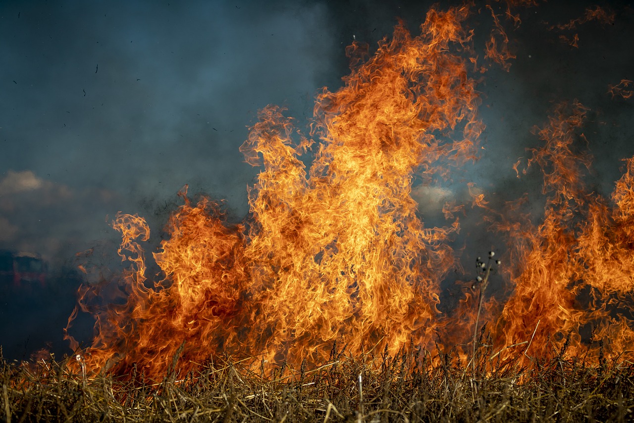 Wildfires Burn Over Half A Million Acres In Utah In 2026 | Basin Now